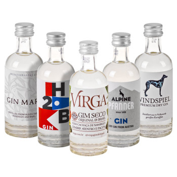 Gin Box World Tour 10 × 0,05 l 42,9% Geschenkbox - 4