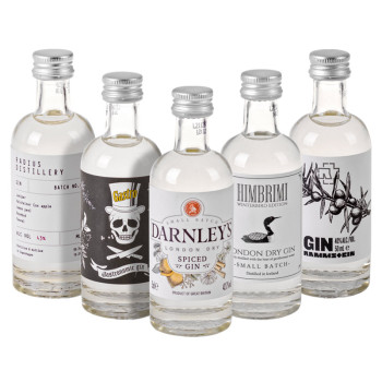 Gin Box World Tour 10 × 0,05 l 42,9% Geschenkbox - 5